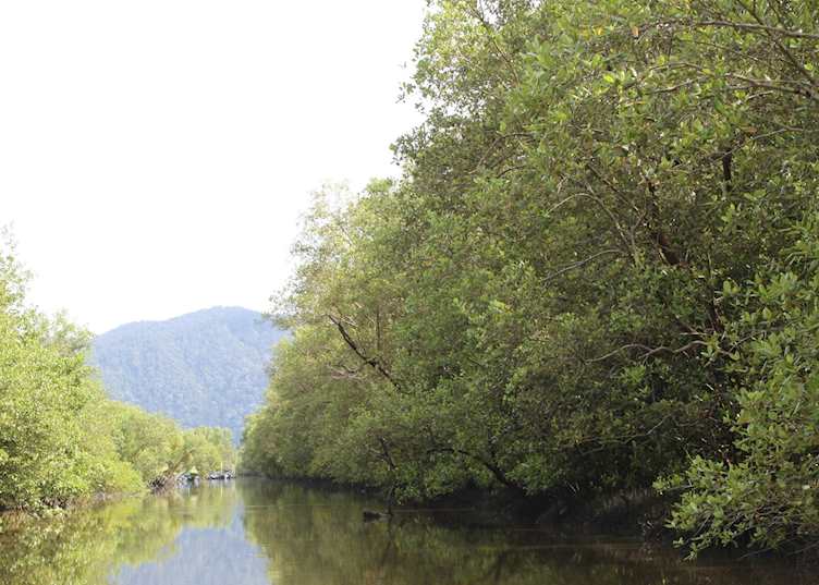 Penang Taman Negara