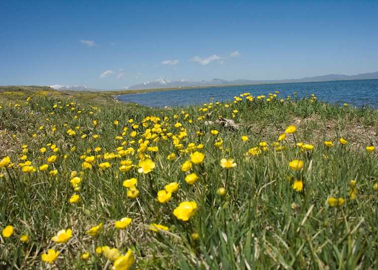 Song Kol Lake
