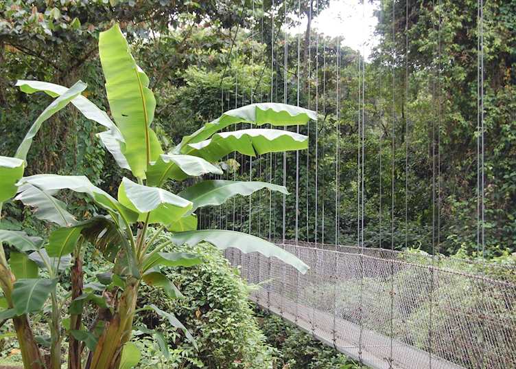 Hanging Bridges, Arenal