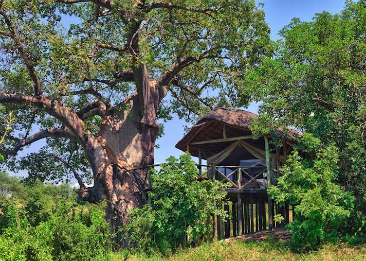 Tarangire River Camp, Tarangire National Park