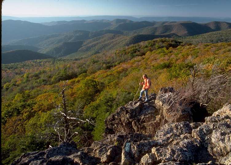 Walking in Shenandoah National Park near Charlottesville