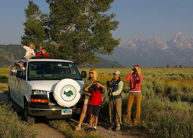Wildlife viewing in Grand Teton National Park