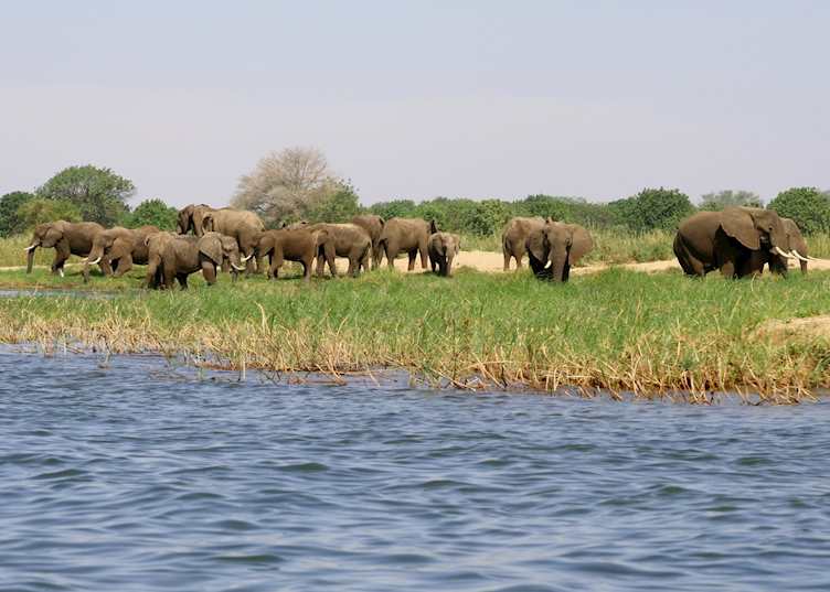 Lower Zambezi National Park, Zambia