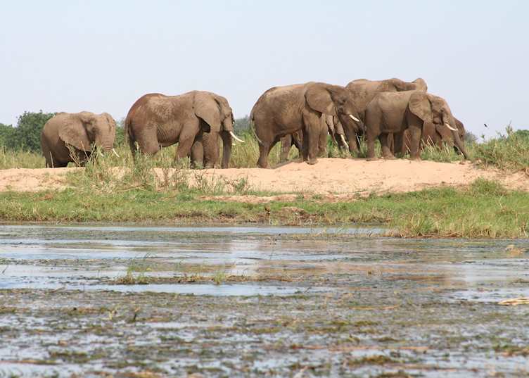 Lower Zambezi National Park, Zambia