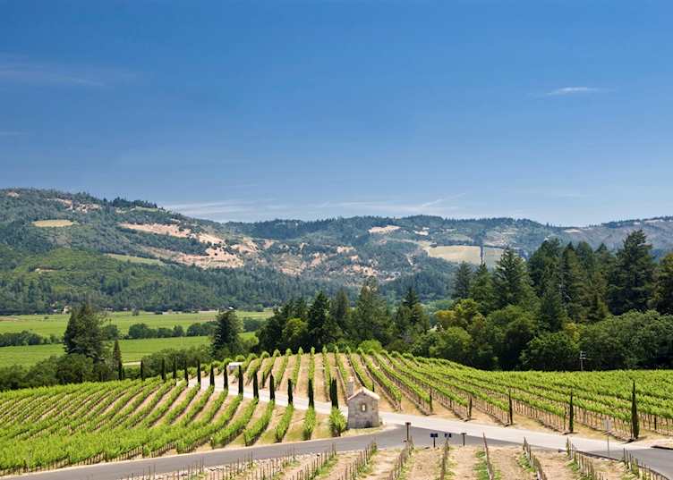 Napa Valley vineyards, California