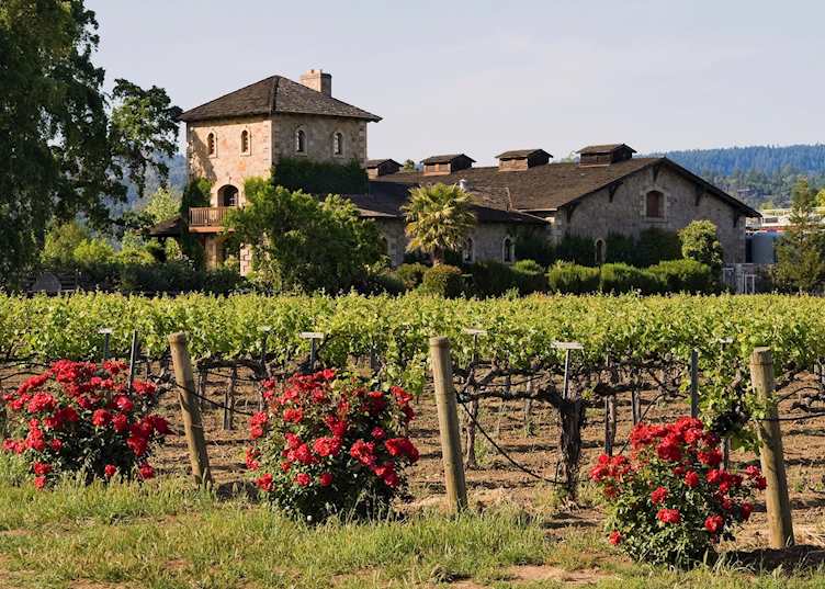 Napa Valley vineyard
