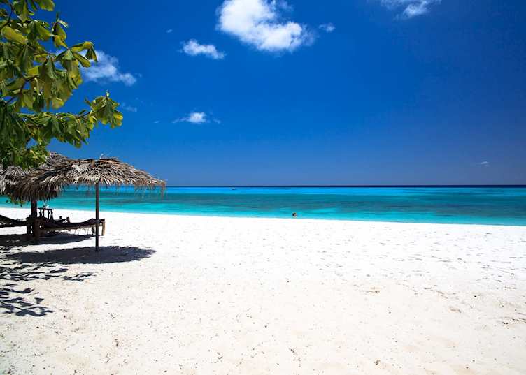 The beach at Manta Resort, Pemba Island