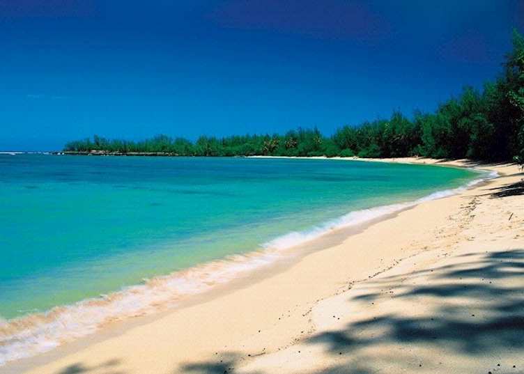 A view from Turtle Bay Resort, Oahu