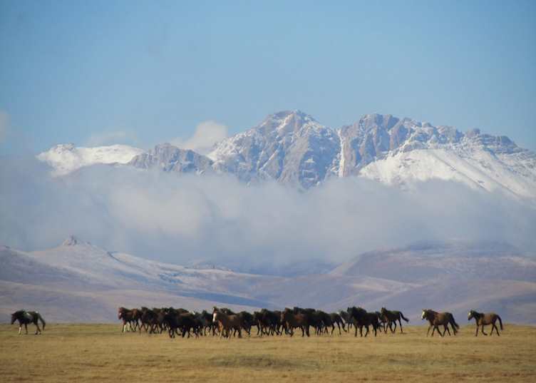 Song-Kul, Kyrgyzstan