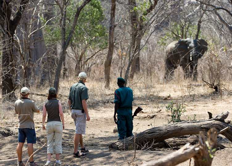 Walking in the Majete Wildlife Reserve, Malawi
