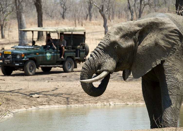 Game viewing from Pumulani, Majete Wildlife Reserve, Malawi
