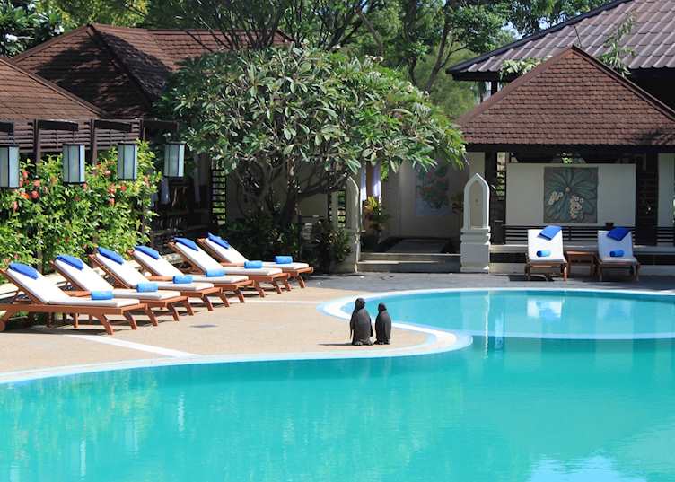 Pool, Aye Yar River View Resort, Bagan