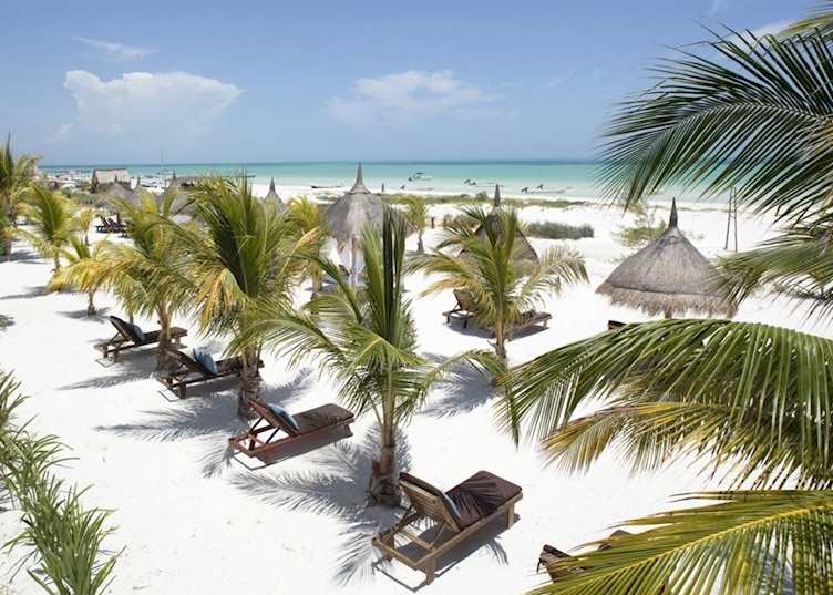 Beach at Casa Sandra, Isla Holbox