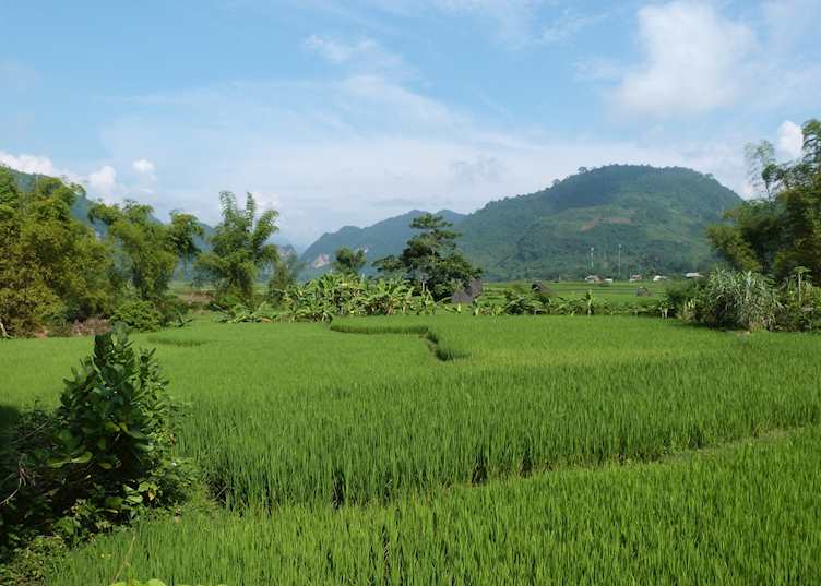 Mai Chau
