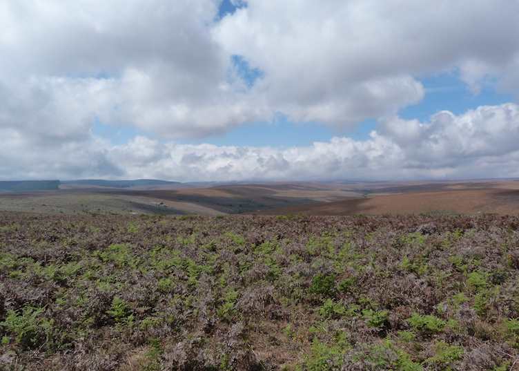 Nyika Plateau, Malawi