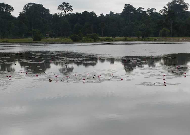 Turtle Lake, Savannakhet