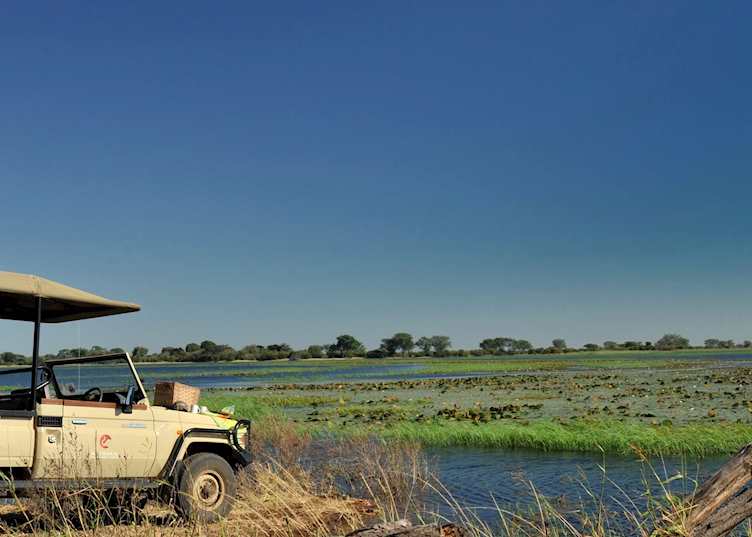 Game viewing from Muchenje Safari Lodge