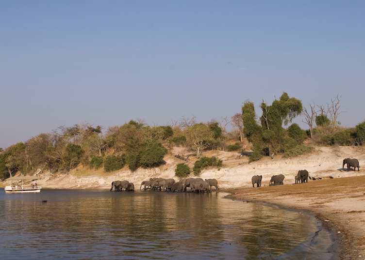 Game viewing from Chobe Under Canvas Camp, Chobe National Park