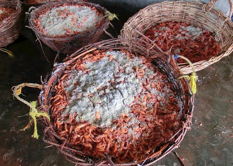 Freshly produced prawns just outside Jaffna
