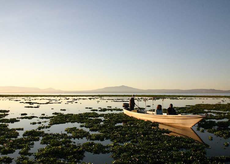 Boat trip on Lake Naivasha