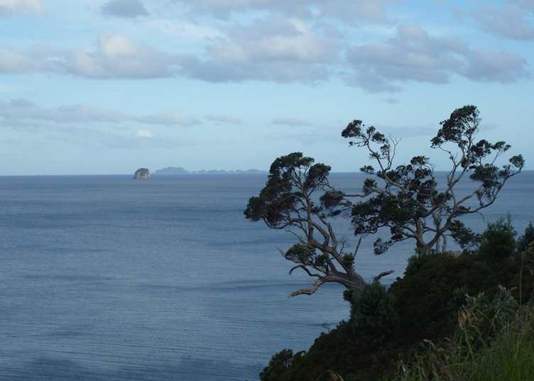 View from Te Pare Reserve, Hahei, Coromandel Peninsula,New Zealand