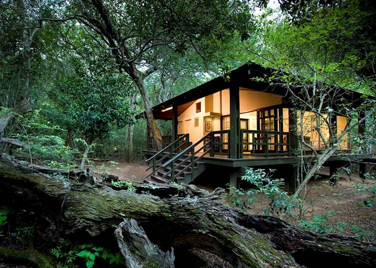 Phinda Forest Lodge, Phinda Private Game Reserve