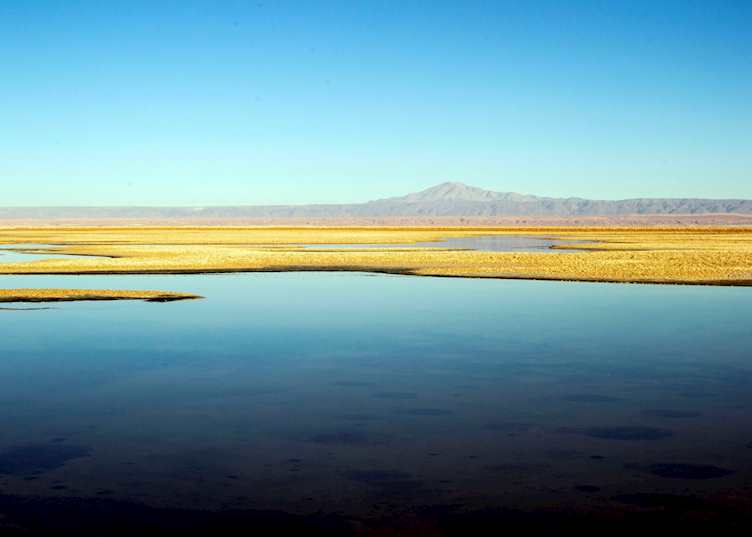 Altiplanic Lagoons, Atacama