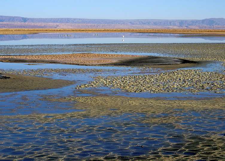 Altiplanic Lagoons, Atacama