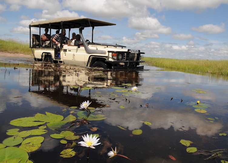 Game viewing from Chief's Camp
