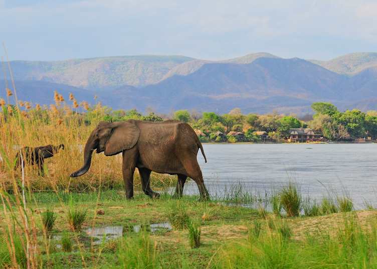 Royal Zambezi Lodge, Lower Zambezi National Park