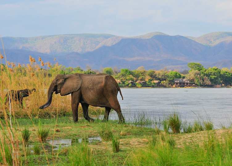 Royal Zambezi Lodge, Lower Zambezi National Park