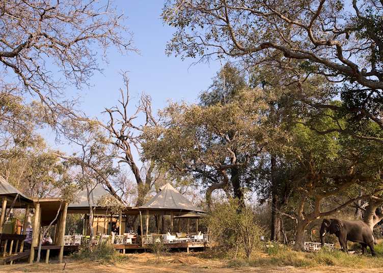 Xaranna Tented Camp, Xudum Concession