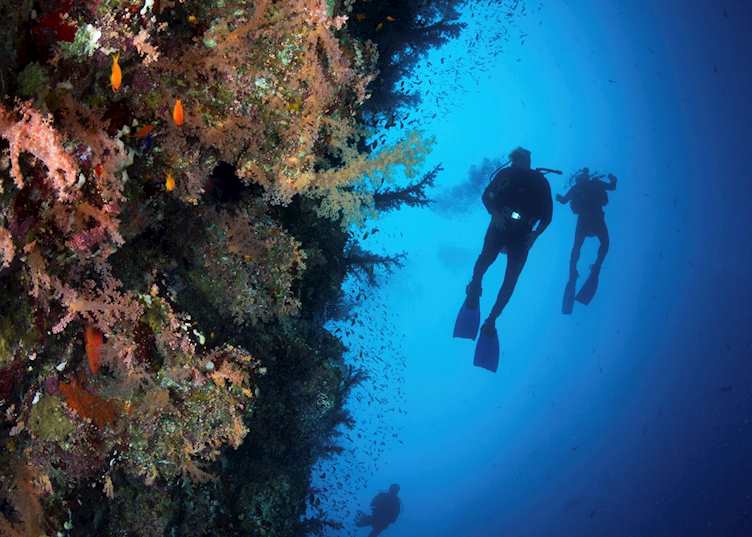 Red Sea, Egypt