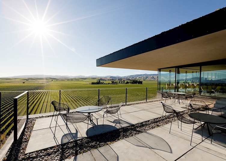 Brancott Estate Vineyard, Blenheim and the Winelands, New Zealand