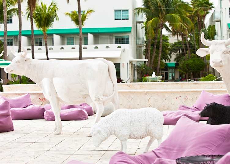 Kimpton Surfcomber, Miami