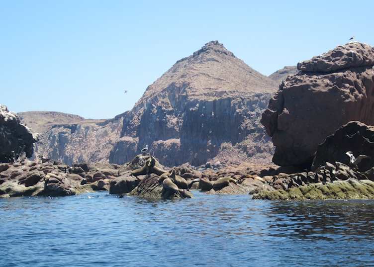 Espiritu Santo tour