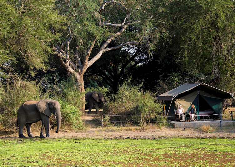 Luxury Safari Tent, Flatdogs Camp, South Luangwa National Park