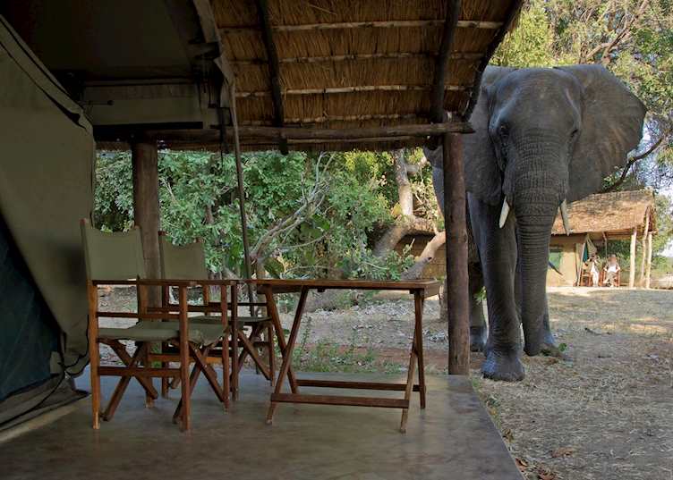 Luxury Safari Tent, Flatdogs Camp, South Luangwa National Park