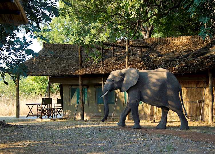 Luxury Safari Tent, Flatdogs Camp, South Luangwa National Park
