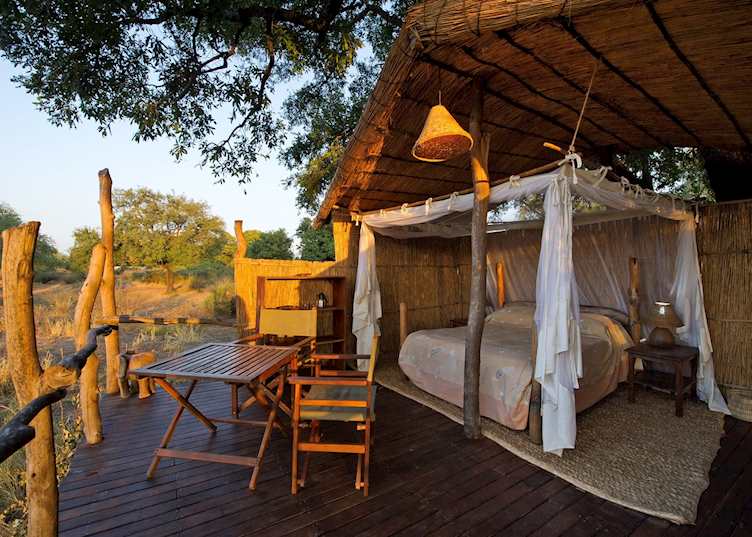 Jackalberry Tree House, Flatdogs Camp, South Luangwa National Park