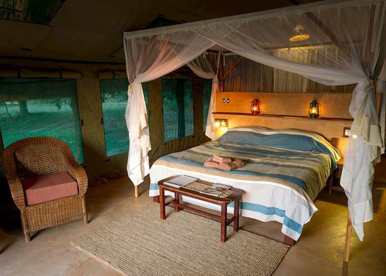 Luxury Safari Tent, Flatdogs Camp, South Luangwa National Park