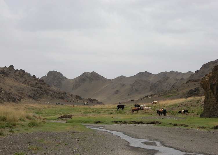 Gobi Gurvansaikhan National Park, Mongolia