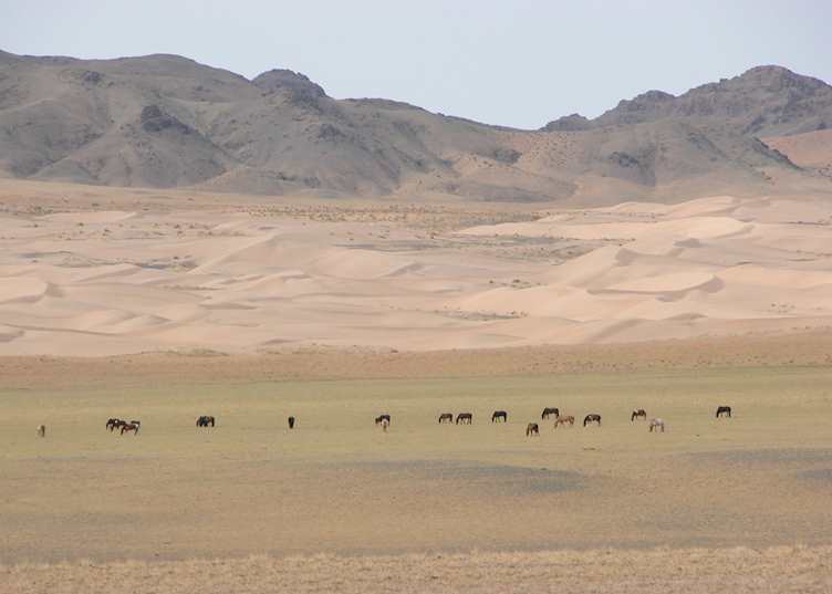 Gobi Gurvansaikhan National Park, Mongolia