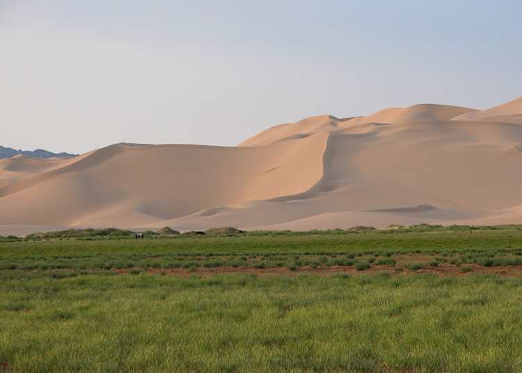 Khongoryn Els, Mongolia
