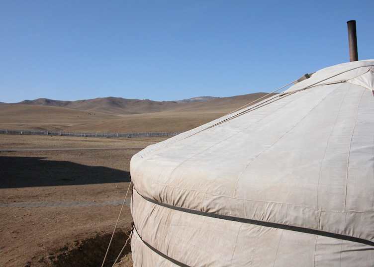 Khustai Nuruu National Park, Mongolia