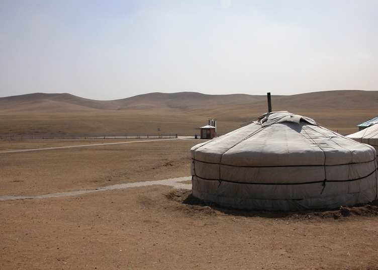 Khustai Nuruu National Park, Mongolia