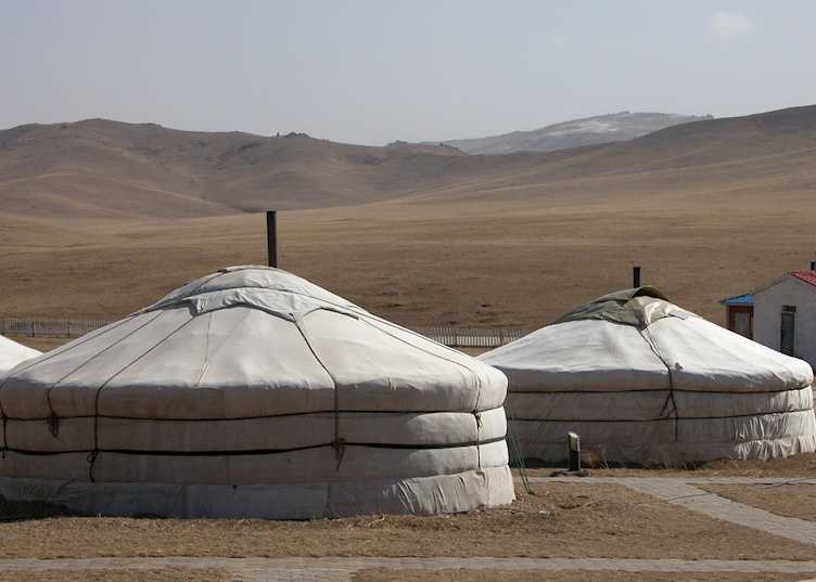 Khustai Nuruu National Park, Mongolia