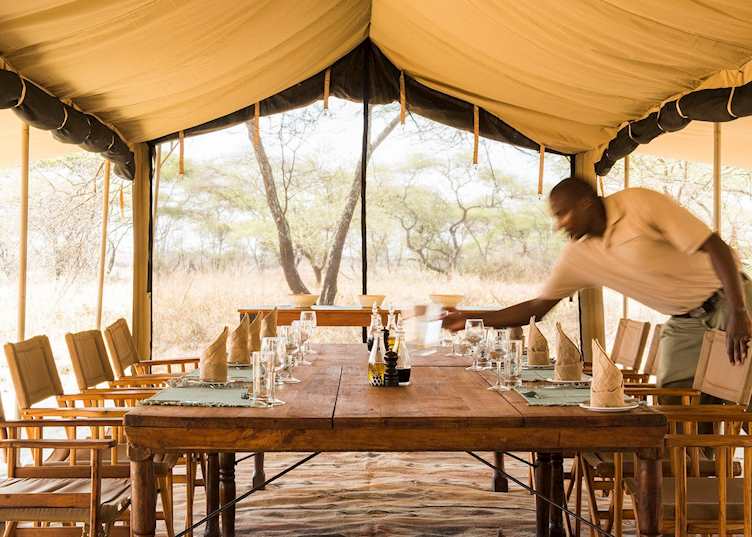 Nomad Serengeti Safari Camp, Serengeti National Park