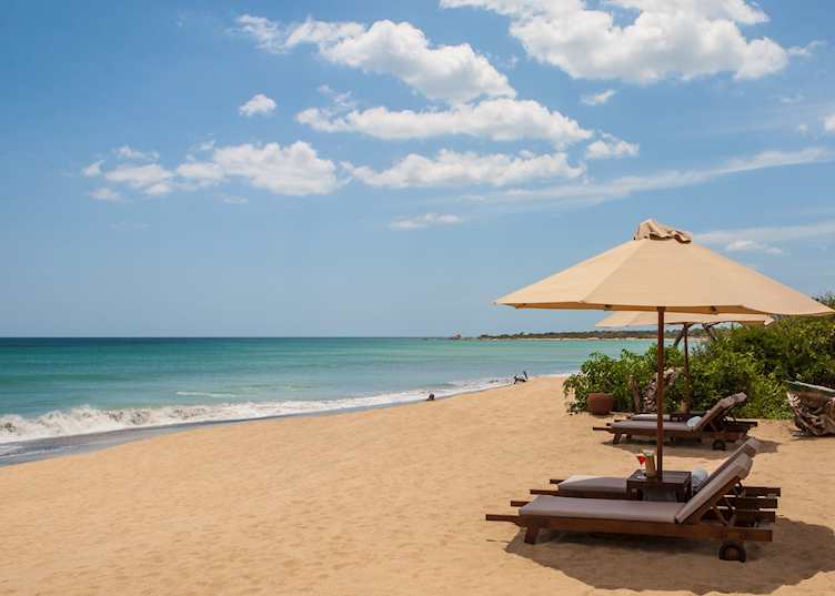 Beach, Jungle Beach