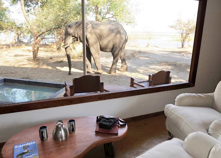 Standard Tent, Potato Bush Camp, Lower Zambezi National Park